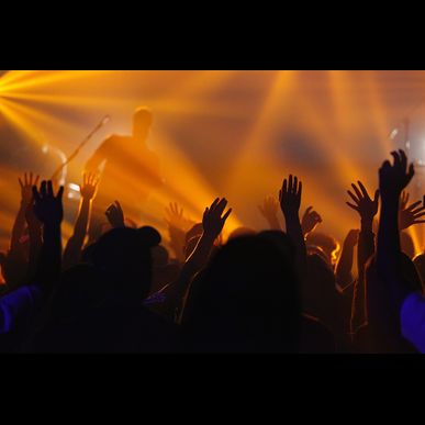 T&N企画はコンサートの運営相談を承っております